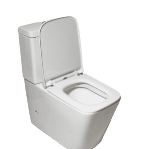 Toilet Two Piece Free Trap