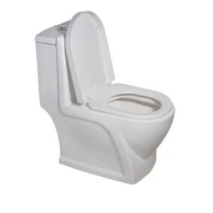 Toilet One Piece P Trap