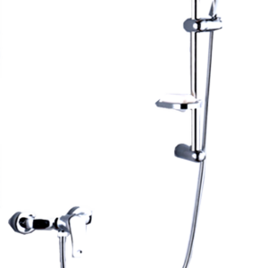 2 Function Shower Set With Faucet